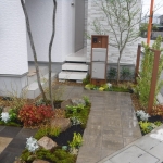 DSCF3153 - コピー.JPG